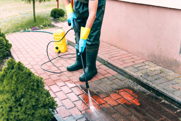 Best Gutter Cleaning  in Magnolia, NJ