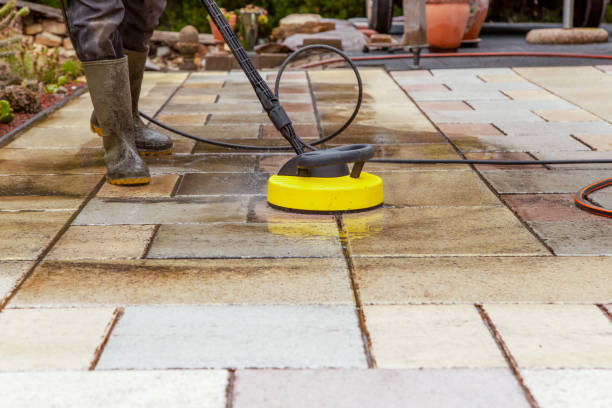 Best Roof Washing  in Magnolia, NJ