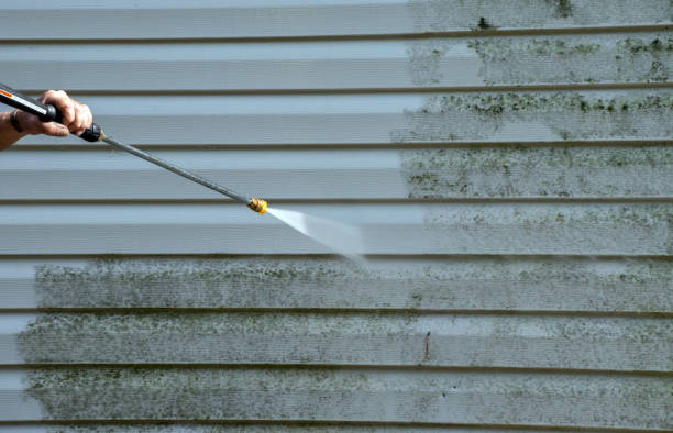 Best Dumpster Area Cleaning  in Magnolia, NJ