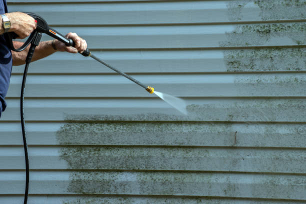 Best House Exterior Washing  in Magnolia, NJ