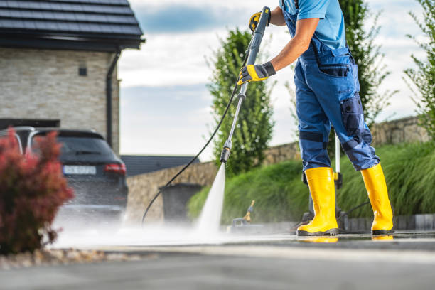 Best Sidewalk and Walkway Cleaning  in Magnolia, NJ